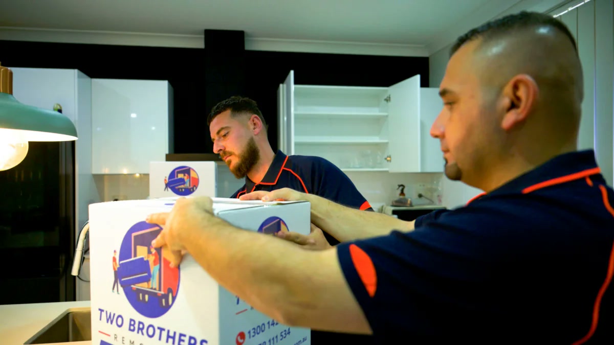 Professional packing boxes, butcher paper and kitchenware packing materials