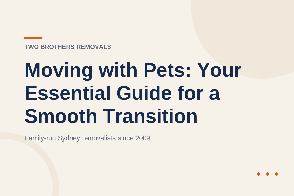 Moving with Pets: Your Essential Guide for a Smooth Transition — Two Brothers Removals